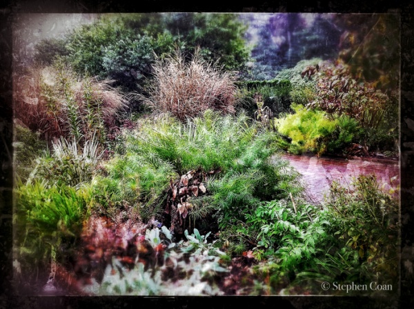 a beautiful rainy day at Longwood Gardens